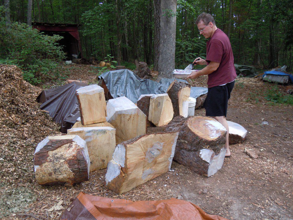 Preserving Pine from Duke Forest with Anchorseal green wood sealer